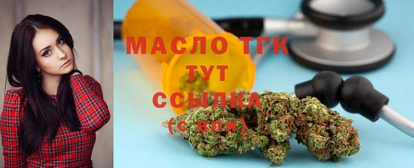 стаф Богородск