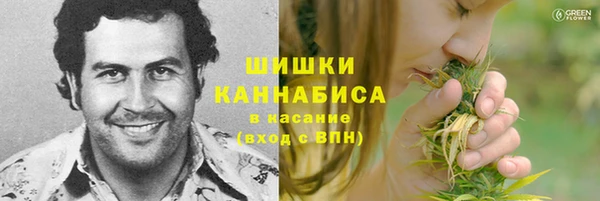 соль ск Богданович