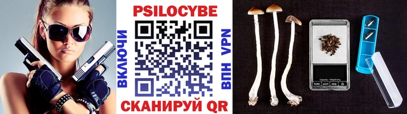 shop какой сайт  Котельники  Псилоцибиновые грибы Psilocybe 