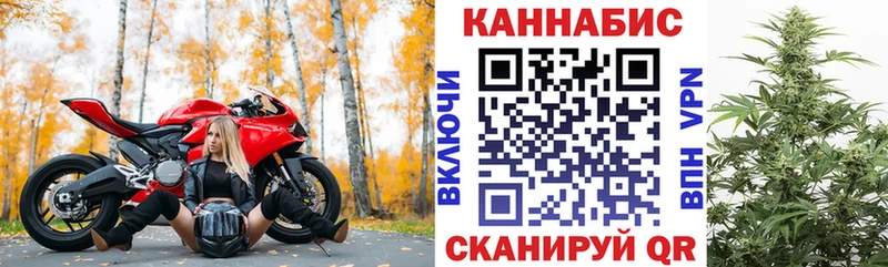 Бошки марихуана Amnesia  продажа наркотиков  Котельники 